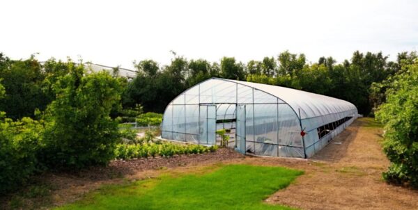 greenhouse 650 sq ft tarp hoop tunnel gardening commercial greenhouse